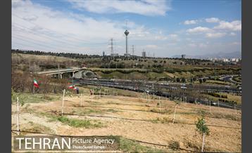 مراسم درختکاری در بوستان پردیسان 1