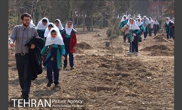 کاشت نهال در بوستان ولایت  35