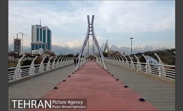 روز درختکاری در گنبد مینا 12