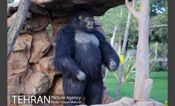 ژوراسیک پارک تهران 5