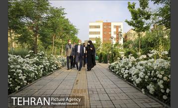 بازدید مصطفی سلیمی از پروژه های منطقه 7