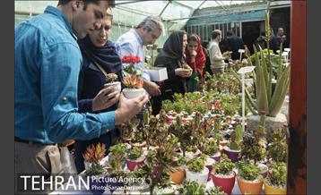 بازار گل شهید محلاتی 8