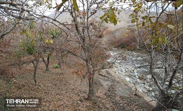 تور گردشگری محله کن 12