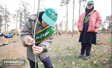 غرس 2000 نهال در بوستان جنگلی سرخه‌ حصار 4