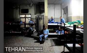 گرمخانه ها 9