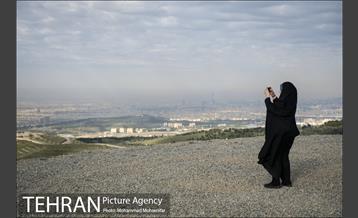 بازدید از پروژه جنگل کاری 1250 هکتاری 19