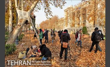 سومین رویداد هنری "پاییز برگ" در میدان مشق 19