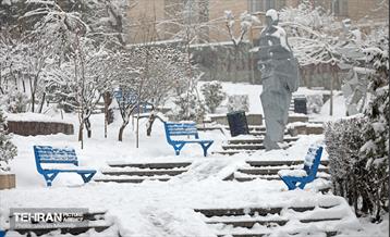 بارش برف در تهران 16