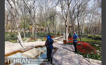رویش گل های لاله در باغ ایرانی 20