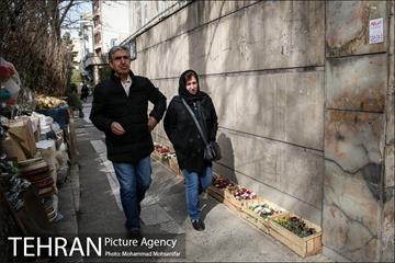 تهران گردی احمد مسجدجامعی 19
