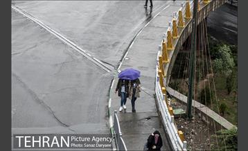 باران بهاری در تهران 24