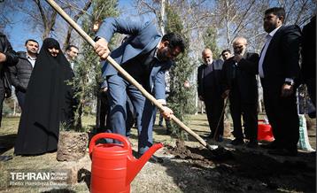 سنت حسنه درختکاری، یادبود شهدای منطقه6