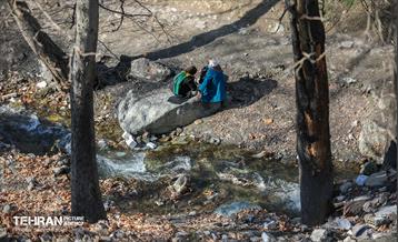 اجرای طرح ضربتی پاکسازی دره فرحزاد 9