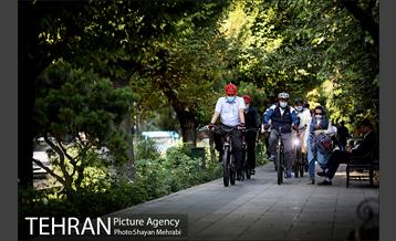 پویش سه شنبه های بدون خودرو 14