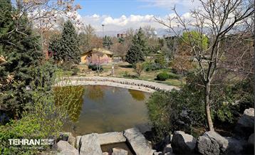 بهار در منطقه 18 36