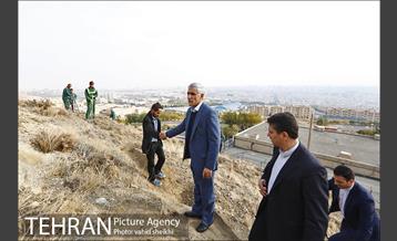 بازدید شهردار تهران از پروژه درختکاری کمربند سبز تهران  6