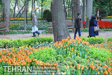 باغ ایراتی (بوستان مهندس مختاری) 14