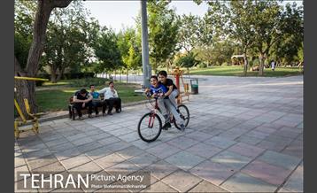 شهرنگار؛ بوستان قائم 17