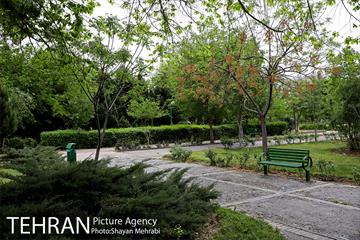 بوستان آزادگان 24