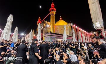 حرم مطهر امام علی (ع) در آستانه اربعین حسینی 28
