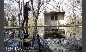 تور عکاسی آژانس عکس تهران در محله کن و سولقان 8