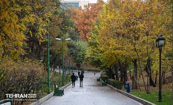 سمفونی رنگ های پاییزی - پارک ملت 18