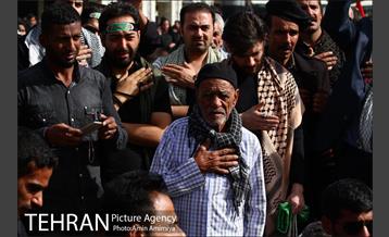 فعالیت های شهرداری تهران در شهرهای نجف و کربلا 30