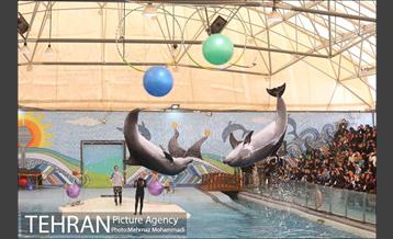 مراسم اختتامیه جشنواره یاد یار مهربان 21