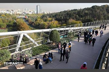 همایش‌ پیاده‌روی خانوادگی کارکنان شهرداری تهران 29