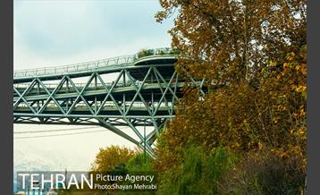 پاییز اراضی عباس آباد 3