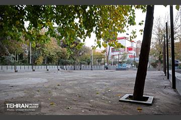 بازدید کمیسیون برنامه و بودجه شورای شهر از پروژه‌های منطقه 11 50