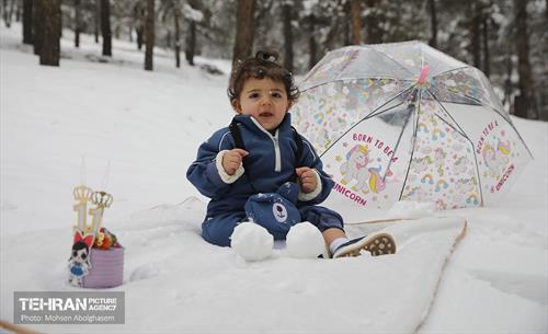 روز برفی تهران - 2 6