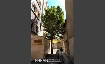 محله درخوانگاه 17