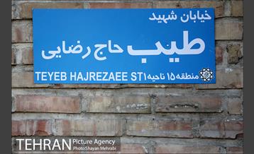 رونمایی از سردیس شهید طیب حاج رضایی 8