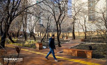 باغ گلاریس 49