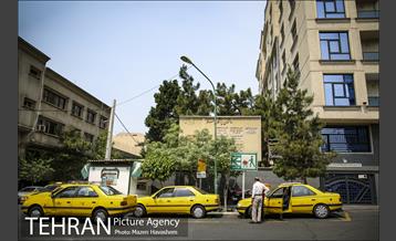 شهرنگار؛ توانیر 8