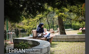 بوستان نیاوران در یک روز آفتابی 15