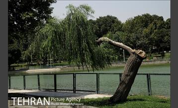 نگاهی به منطقه 16 شهرداری تهران 5