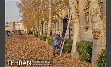 سومین رویداد هنری "پاییز برگ" در میدان مشق 49
