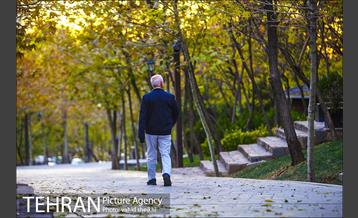 طبیعت پاییزی بوستان فدک 34