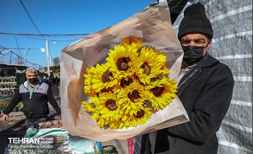 بازار گل محلاتی  1