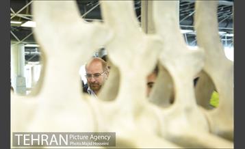 بازدید شهردار تهران از پروژه باغ کتاب در مجموعه اراضی عباس آباد 13