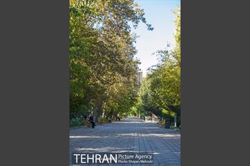 بوستان هنرمندان (ایرانشهر) 29