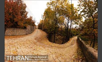 پاییز طلایی روستای افجه 2
