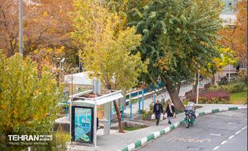 سمفونی رنگ های پاییزی  30