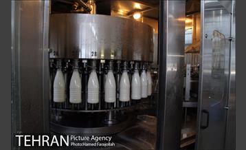 خط تولید شرکت صنایع شیر ایران 24