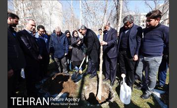 باز آفرینی باغ عبقری منطقه ۲ 11