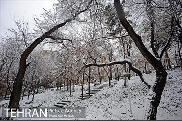 بارش برف زمستانی در تهران 35