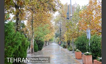 بارش باران پاییزی در تهران 14