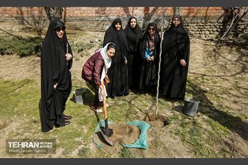 آیین درختکاری در منطقه‌5 4